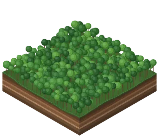 Jungle terrain
