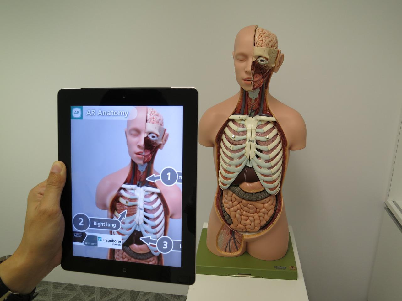 augmented reality, medical, 3d-1957411.jpg
